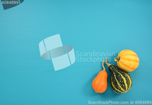 Image of Orange, green and yellow gourds on a teal background