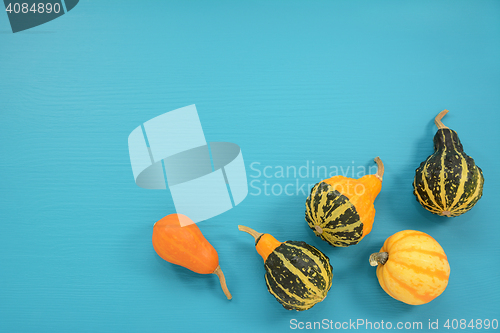Image of Five ornamental gourds and squash on a turquoise background