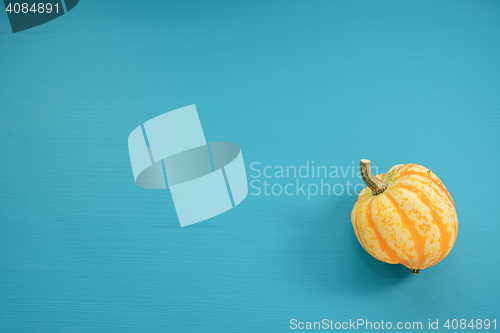 Image of Yellow Festival squash on a teal wooden background