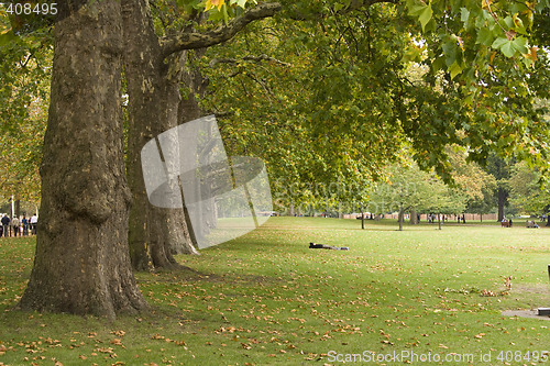 Image of Resting in the park