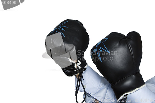 Image of boxer gloves