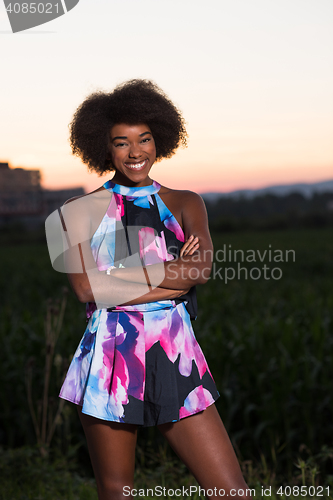 Image of portrait of a young African-American woman in a summer dress