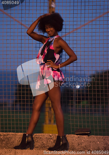 Image of portrait of a young African-American woman in a summer dress