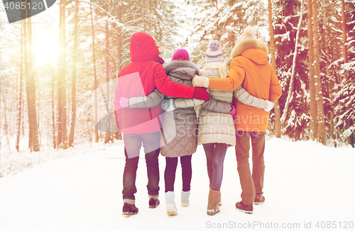 Image of group of happy men and women in winter forest