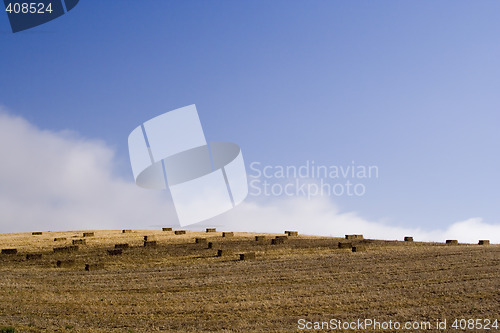 Image of agriculture field