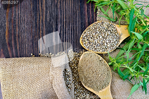 Image of Flour hemp with grain in wooden spoons on board