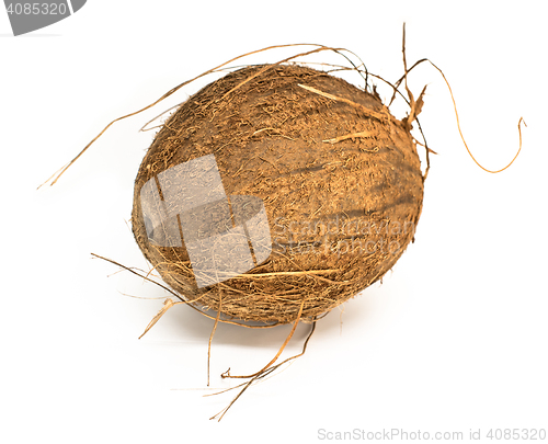Image of coconut on white background