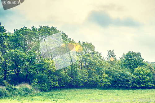 Image of Landscape with magical golden bokeh