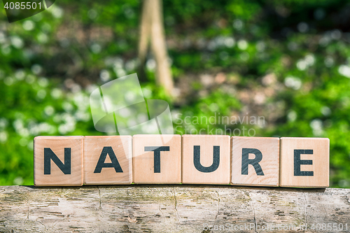 Image of Nature sign on a wooden branch