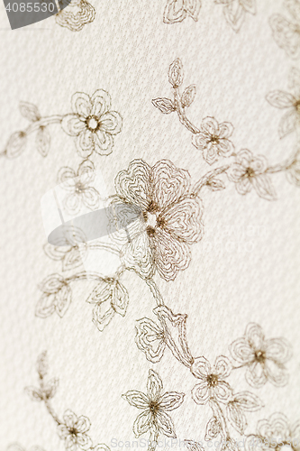 Image of Special lace