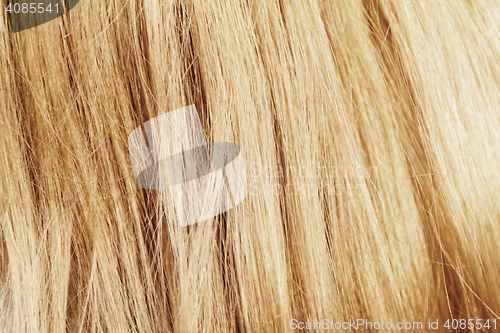 Image of Blonde hair