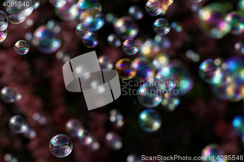 Image of Soap bubbles