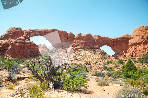 Image of South and North Window Arches