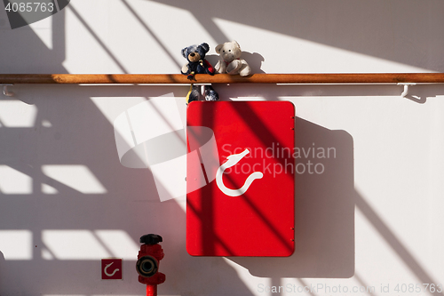 Image of Teddies on a Cruiser