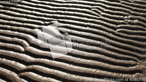 Image of  sand pattern zebra