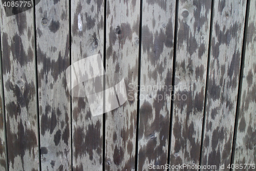 Image of spotted wooden fence