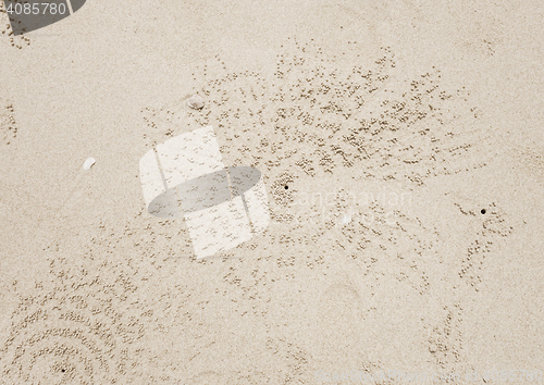 Image of crab hole background texture