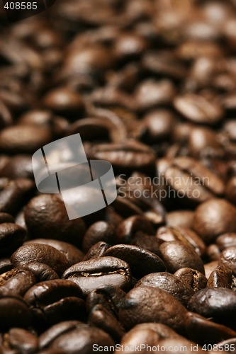 Image of fresh coffee beans