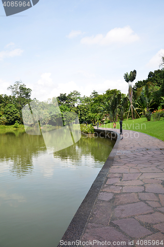 Image of Lake in Singapore Botanic Garden