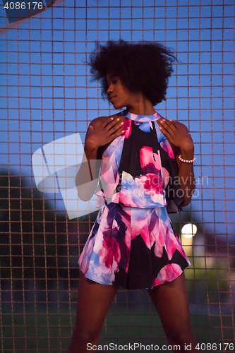 Image of portrait of a young African-American woman in a summer dress