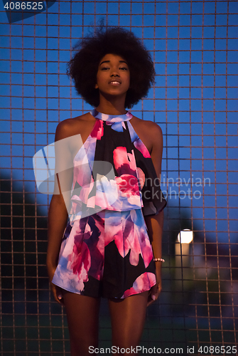 Image of portrait of a young African-American woman in a summer dress