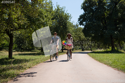 Image of Young multiethnic couple having a bike ride in nature