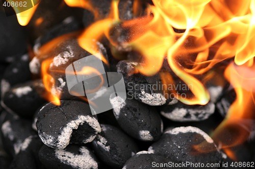 Image of Charcoals