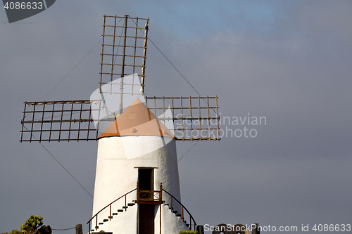 Image of cactus windmills in  isle of lanzarote africa  