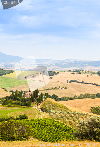 Image of Countryside in Tuscany