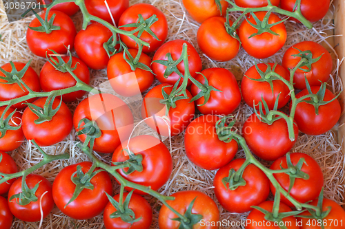 Image of Tomatoes