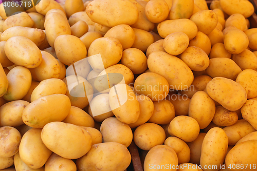 Image of Potato