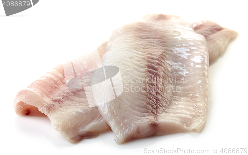 Image of fresh raw fish fillet