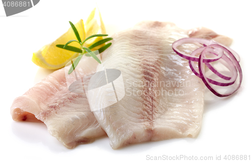 Image of fresh raw fish fillet