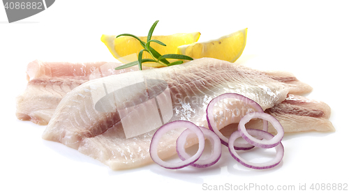 Image of fresh raw fish fillet