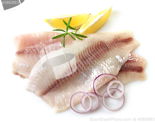 Image of fresh raw fish fillet