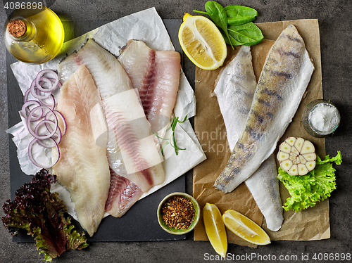 Image of fresh raw fish fillet