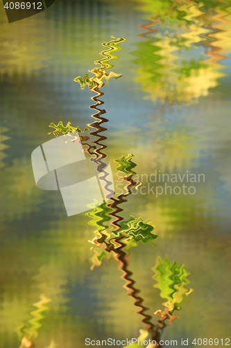 Image of abstract blurred young sprouts of a willow 