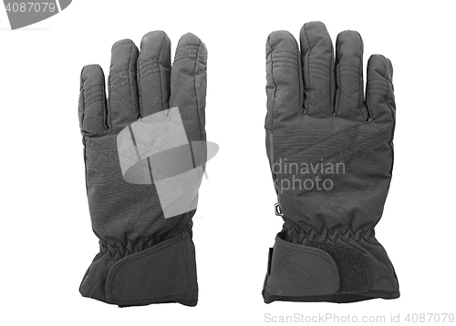 Image of Gloves