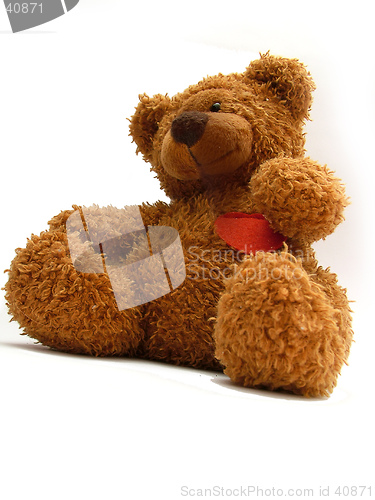 Image of teddy bear