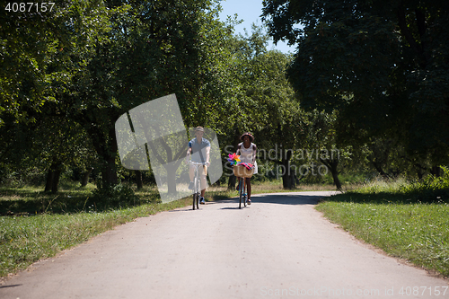 Image of Young multiethnic couple having a bike ride in nature