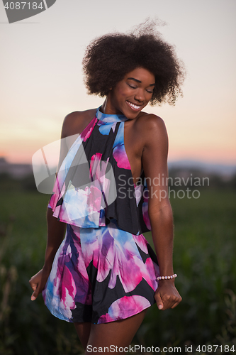 Image of portrait of a young African-American woman in a summer dress