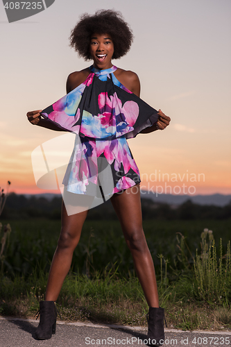 Image of portrait of a young African-American woman in a summer dress