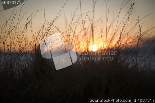 Image of Norwegian Sunset