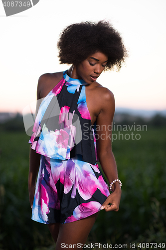 Image of portrait of a young African-American woman in a summer dress