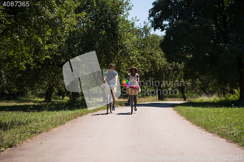 Image of Young multiethnic couple having a bike ride in nature