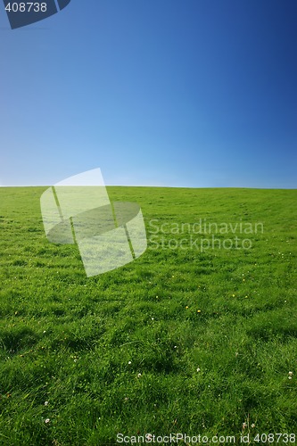 Image of Green meadow