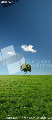 Image of Single tree on a beautiful and vast green meadow