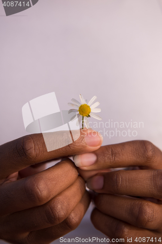 Image of portrait of African American girl with a flower in her hand