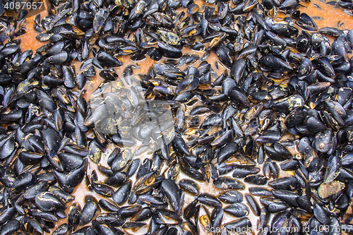 Image of Mussels in red sauce in big cauldron on a Street market