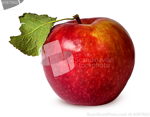 Image of In front red ripe apple with green leaf